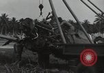 Image of P-40 Warhawk fighter Guadalcanal Solomon Islands, 1943, second 35 stock footage video 65675074691