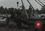 Image of P-40 Warhawk fighter Guadalcanal Solomon Islands, 1943, second 36 stock footage video 65675074691