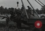 Image of P-40 Warhawk fighter Guadalcanal Solomon Islands, 1943, second 37 stock footage video 65675074691