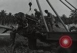 Image of P-40 Warhawk fighter Guadalcanal Solomon Islands, 1943, second 39 stock footage video 65675074691