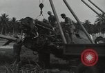 Image of P-40 Warhawk fighter Guadalcanal Solomon Islands, 1943, second 40 stock footage video 65675074691