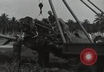 Image of P-40 Warhawk fighter Guadalcanal Solomon Islands, 1943, second 42 stock footage video 65675074691
