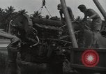 Image of P-40 Warhawk fighter Guadalcanal Solomon Islands, 1943, second 43 stock footage video 65675074691