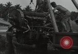 Image of P-40 Warhawk fighter Guadalcanal Solomon Islands, 1943, second 48 stock footage video 65675074691
