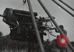 Image of P-40 Warhawk fighter Guadalcanal Solomon Islands, 1943, second 52 stock footage video 65675074691