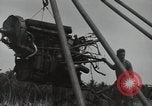 Image of P-40 Warhawk fighter Guadalcanal Solomon Islands, 1943, second 54 stock footage video 65675074691