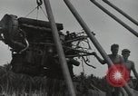 Image of P-40 Warhawk fighter Guadalcanal Solomon Islands, 1943, second 55 stock footage video 65675074691