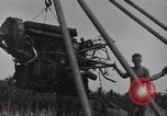 Image of P-40 Warhawk fighter Guadalcanal Solomon Islands, 1943, second 57 stock footage video 65675074691