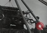 Image of P-40 Warhawk fighter Guadalcanal Solomon Islands, 1943, second 59 stock footage video 65675074691
