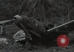 Image of P-40 Warhawk fighter Guadalcanal Solomon Islands, 1943, second 61 stock footage video 65675074691