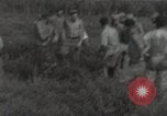 Image wrecked F4F Wildcat fighter Guadalcanal Îles Salomon, 1943, de la seconde 1 séquences d'archives historiques vidéo 65675074693