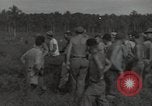 Image wrecked F4F Wildcat fighter Guadalcanal Îles Salomon, 1943, de la seconde 3 séquences d'archives historiques vidéo 65675074693