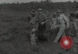 Image wrecked F4F Wildcat fighter Guadalcanal Îles Salomon, 1943, de la seconde 5 séquences d'archives historiques vidéo 65675074693