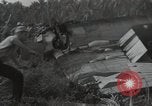 Image wrecked F4F Wildcat fighter Guadalcanal Îles Salomon, 1943, de la seconde 16 séquences d'archives historiques vidéo 65675074693