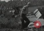 Image wrecked F4F Wildcat fighter Guadalcanal Îles Salomon, 1943, de la seconde 17 séquences d'archives historiques vidéo 65675074693