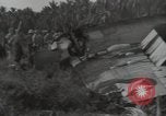 Image wrecked F4F Wildcat fighter Guadalcanal Îles Salomon, 1943, de la seconde 19 séquences d'archives historiques vidéo 65675074693