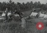 Image wrecked F4F Wildcat fighter Guadalcanal Îles Salomon, 1943, de la seconde 20 séquences d'archives historiques vidéo 65675074693