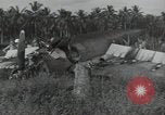 Image wrecked F4F Wildcat fighter Guadalcanal Îles Salomon, 1943, de la seconde 22 séquences d'archives historiques vidéo 65675074693