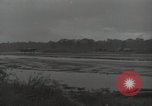 Standbild P-38 Blitz Kämpfer Guadalcanal Salomonen, 1943, aus Sekunde 40 historischem Filmmaterial Videoclip 65675074696