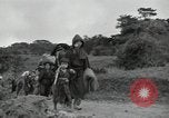 Image of Okinawan civilians Okinawa Ryukyu Islands, 1945, second 23 stock footage video 65675074701