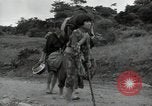 Image of Okinawan civilians Okinawa Ryukyu Islands, 1945, second 57 stock footage video 65675074701