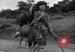 Image of Okinawan civilians Okinawa Ryukyu Islands, 1945, second 58 stock footage video 65675074701