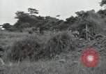 Image of Okinawan civilians Okinawa Ryukyu Islands, 1945, second 5 stock footage video 65675074702