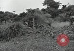 Image of Okinawan civilians Okinawa Ryukyu Islands, 1945, second 7 stock footage video 65675074702