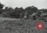 Image of Okinawan civilians Okinawa Ryukyu Islands, 1945, second 10 stock footage video 65675074702
