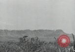 Immagine di Soldati statunitensi Okinawa isole Ryukyu, 1945, secondo 56 filmato di repertorio 65675074703
