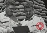 Standbild SBD Dauntless dive Bomber Guadalcanal Salomonen, 1942, aus Sekunde 59 historischem Filmmaterial Videoclip 65675074708
