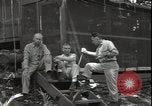 Immagine di Tenente generale Boschi Guadalcanal nelle Isole Salomone, 1942, secondo 32 filmato di repertorio 65675074709
