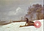 Immagine di Piloti statunitensi di essere soccorsi in mare da parte di velivoli costruttiva PBY Isola di Midway, 1942, secondo 4 filmato di repertorio 65675074722