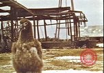 Immagine di Piloti statunitensi di essere soccorsi in mare da parte di velivoli costruttiva PBY Isola di Midway, 1942, secondo 7 filmato di repertorio 65675074722