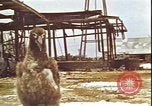 Immagine di Piloti statunitensi di essere soccorsi in mare da parte di velivoli costruttiva PBY Isola di Midway, 1942, secondo 9 filmato di repertorio 65675074722