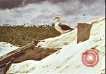 Immagine di Piloti statunitensi di essere soccorsi in mare da parte di velivoli costruttiva PBY Isola di Midway, 1942, secondo 21 filmato di repertorio 65675074722