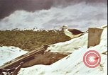 Immagine di Piloti statunitensi di essere soccorsi in mare da parte di velivoli costruttiva PBY Isola di Midway, 1942, secondo 30 filmato di repertorio 65675074722