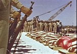Image le Major James Roosevelt l'île Midway, 1942, de la seconde 41 séquences d'archives historiques vidéo 65675074723