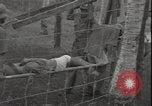 Image of Japanese prisoners of war Guadalcanal Solomon Islands, 1942, second 4 stock footage video 65675074729