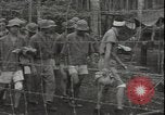Image of Japanese prisoners of war Guadalcanal Solomon Islands, 1942, second 24 stock footage video 65675074729