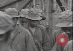 Image of Japanese prisoners of war Guadalcanal Solomon Islands, 1942, second 35 stock footage video 65675074729