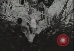Image of Seabees on Guadalcanal Guadalcanal Solomon Islands, 1942, second 15 stock footage video 65675074730