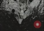Image of Seabees on Guadalcanal Guadalcanal Solomon Islands, 1942, second 16 stock footage video 65675074730