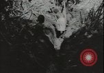 Image of Seabees on Guadalcanal Guadalcanal Solomon Islands, 1942, second 19 stock footage video 65675074730
