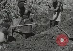 Image of Seabees on Guadalcanal Guadalcanal Solomon Islands, 1942, second 20 stock footage video 65675074730