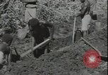 Image of Seabees on Guadalcanal Guadalcanal Solomon Islands, 1942, second 21 stock footage video 65675074730