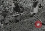 Image of Seabees on Guadalcanal Guadalcanal Solomon Islands, 1942, second 24 stock footage video 65675074730