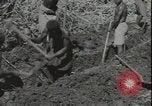Image of Seabees on Guadalcanal Guadalcanal Solomon Islands, 1942, second 25 stock footage video 65675074730