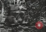 Image of Seabees on Guadalcanal Guadalcanal Solomon Islands, 1942, second 28 stock footage video 65675074730