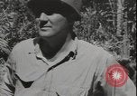 Image of Seabees on Guadalcanal Guadalcanal Solomon Islands, 1942, second 32 stock footage video 65675074730
